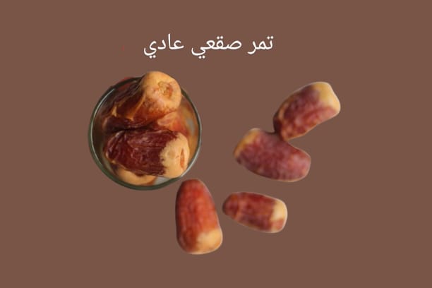 صقعي عادي